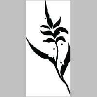 flr (1029).jpg